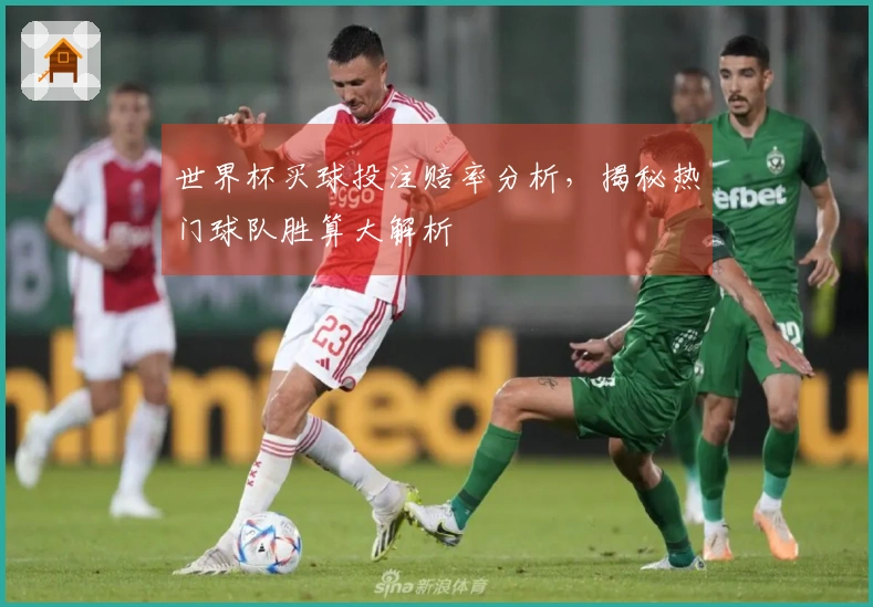 世界杯买球投注赔率分析，揭秘热门球队胜算大解析