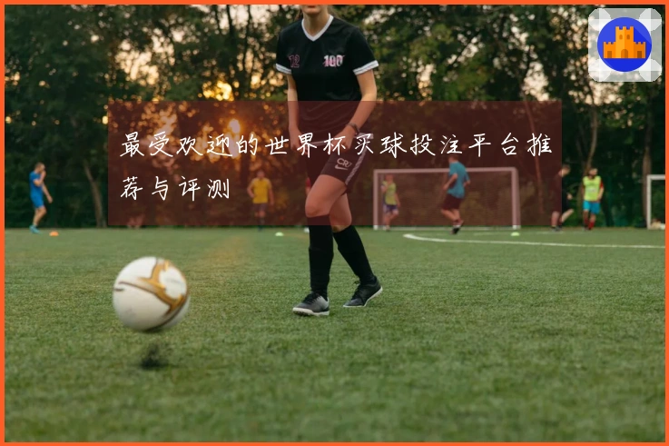 最受欢迎的世界杯买球投注平台推荐与评测