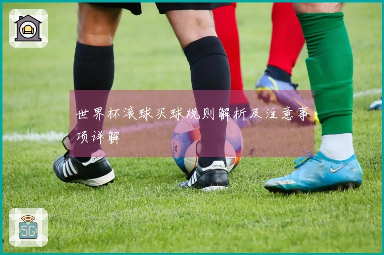 世界杯滚球买球规则解析及注意事项详解