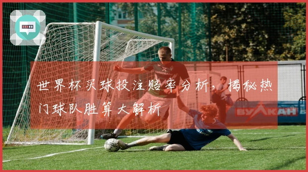 世界杯买球投注赔率分析，揭秘热门球队胜算大解析