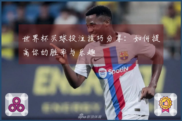 世界杯买球投注技巧分享：如何提高你的胜率与乐趣