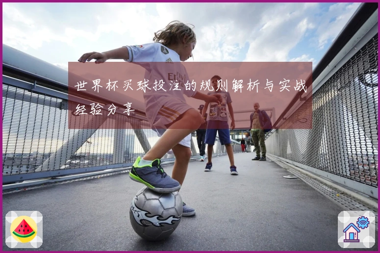 世界杯买球投注的规则解析与实战经验分享