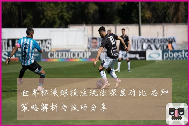世界杯滚球投注玩法深度对比 各种策略解析与技巧分享