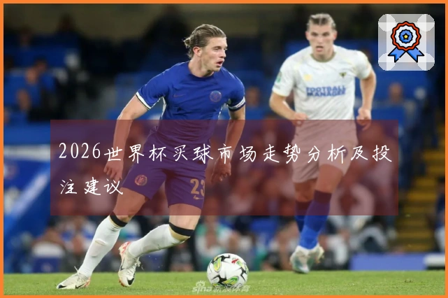 2026世界杯买球市场走势分析及投注建议