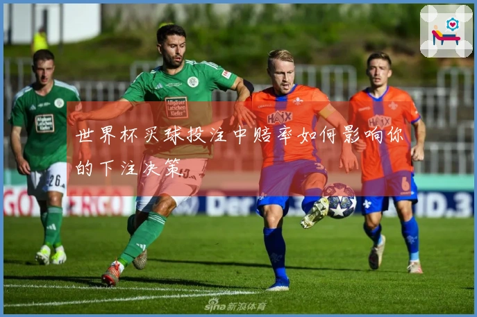 世界杯买球投注中赔率如何影响你的下注决策