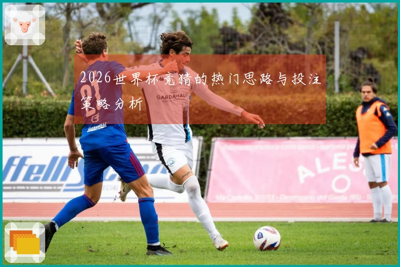 2026世界杯竞猜的热门思路与投注策略分析