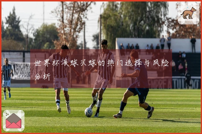 世界杯滚球买球的热门选择与风险分析