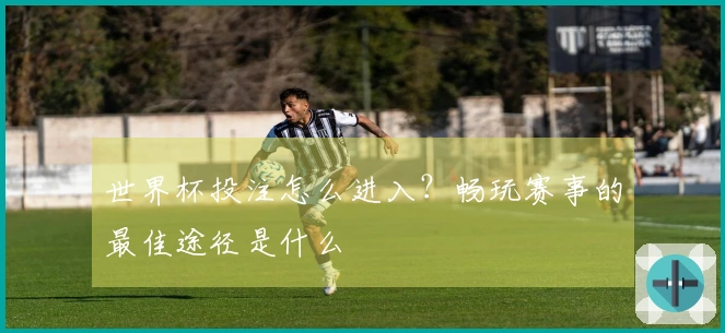 世界杯投注怎么进入？畅玩赛事的最佳途径是什么