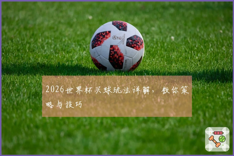 2026世界杯买球玩法详解，教你策略与技巧
