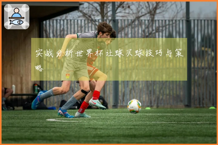 实战分析世界杯让球买球技巧与策略
